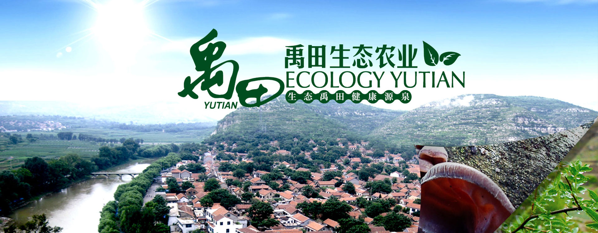 改產(chǎn)品篩分能力強(qiáng),篩分效果好,更加只用于流水線使用